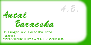 antal baracska business card